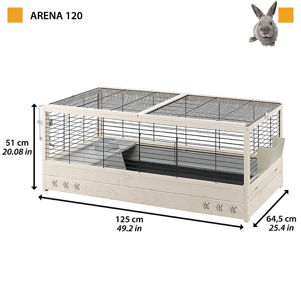 ARENA 120 - Image 2