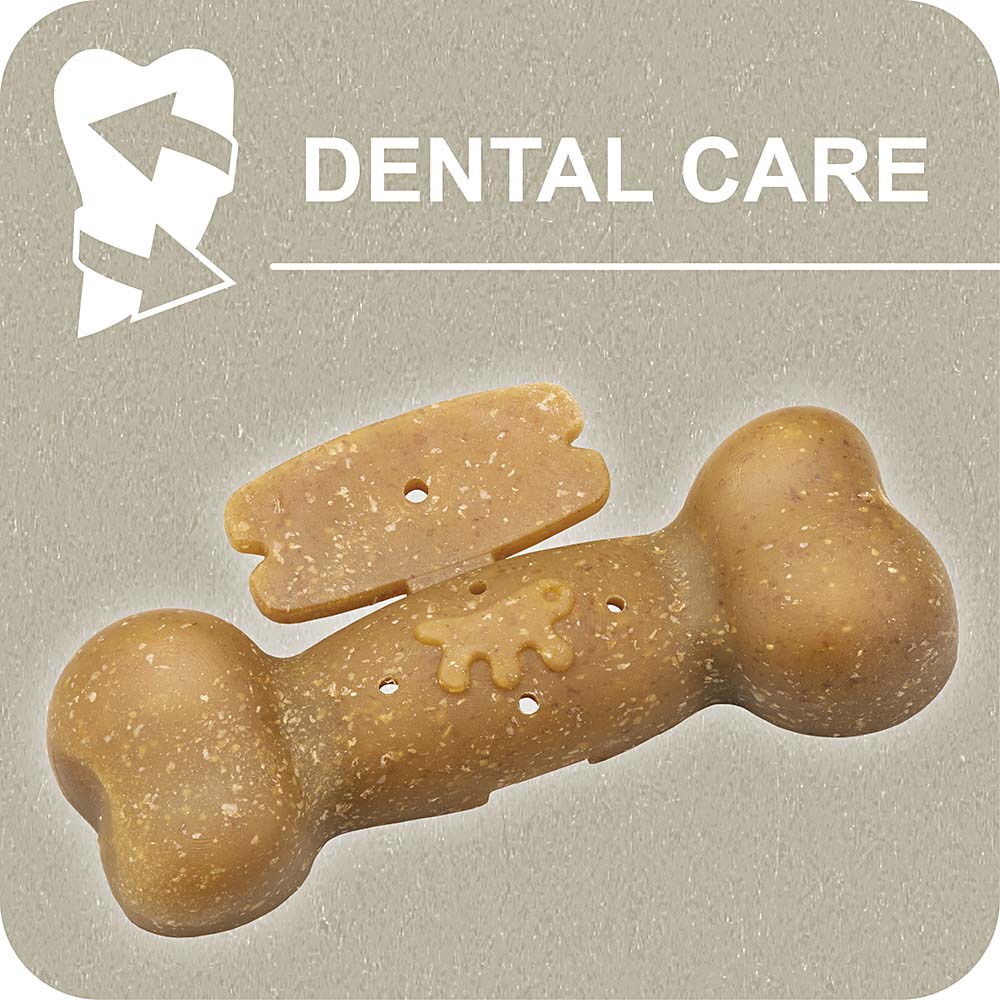 100% SNACK FILLABLE - BONE EUGLENA - Image 2