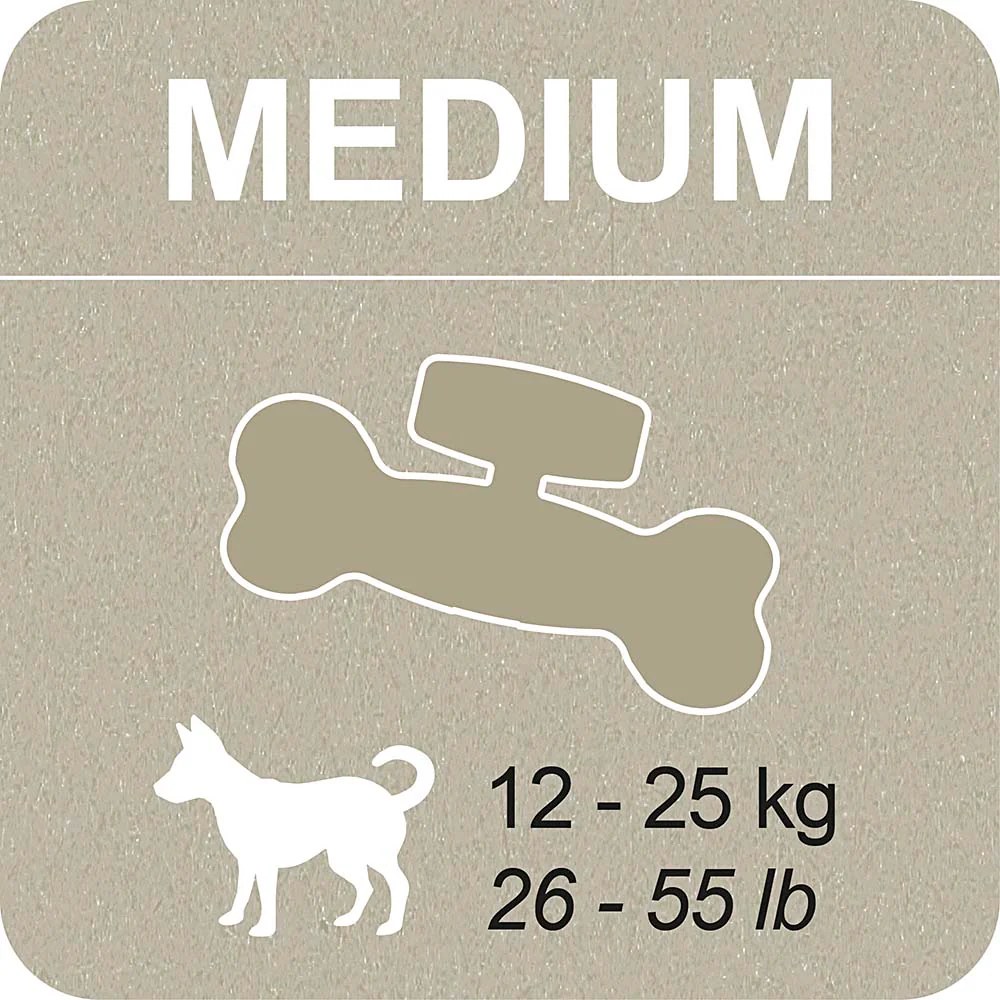 100% SNACK FILLABLE - BONE EUGLENA - Image 6