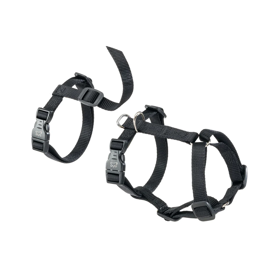 BRAVE - Image 11