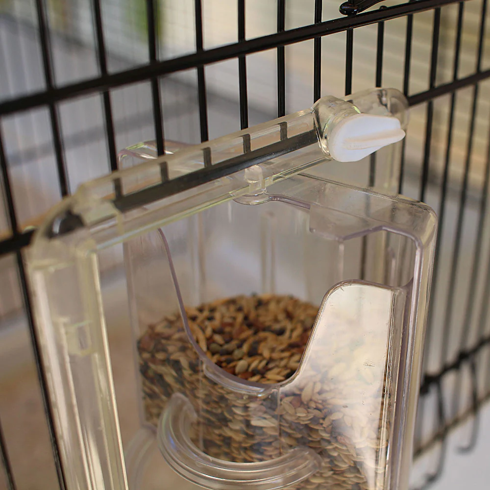 CANTO - Image 11