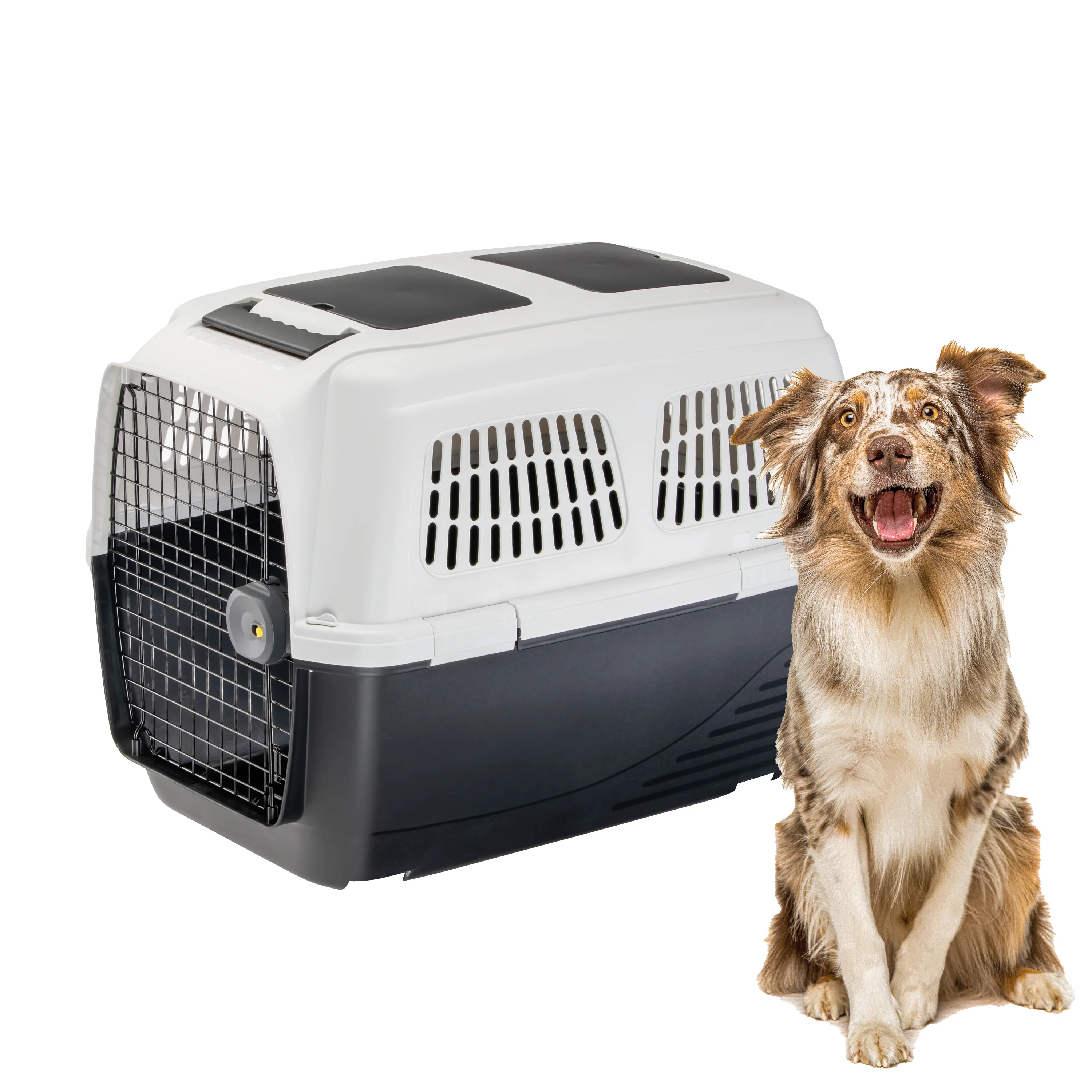 CLIPPER PLUS 4-7 - Image 22