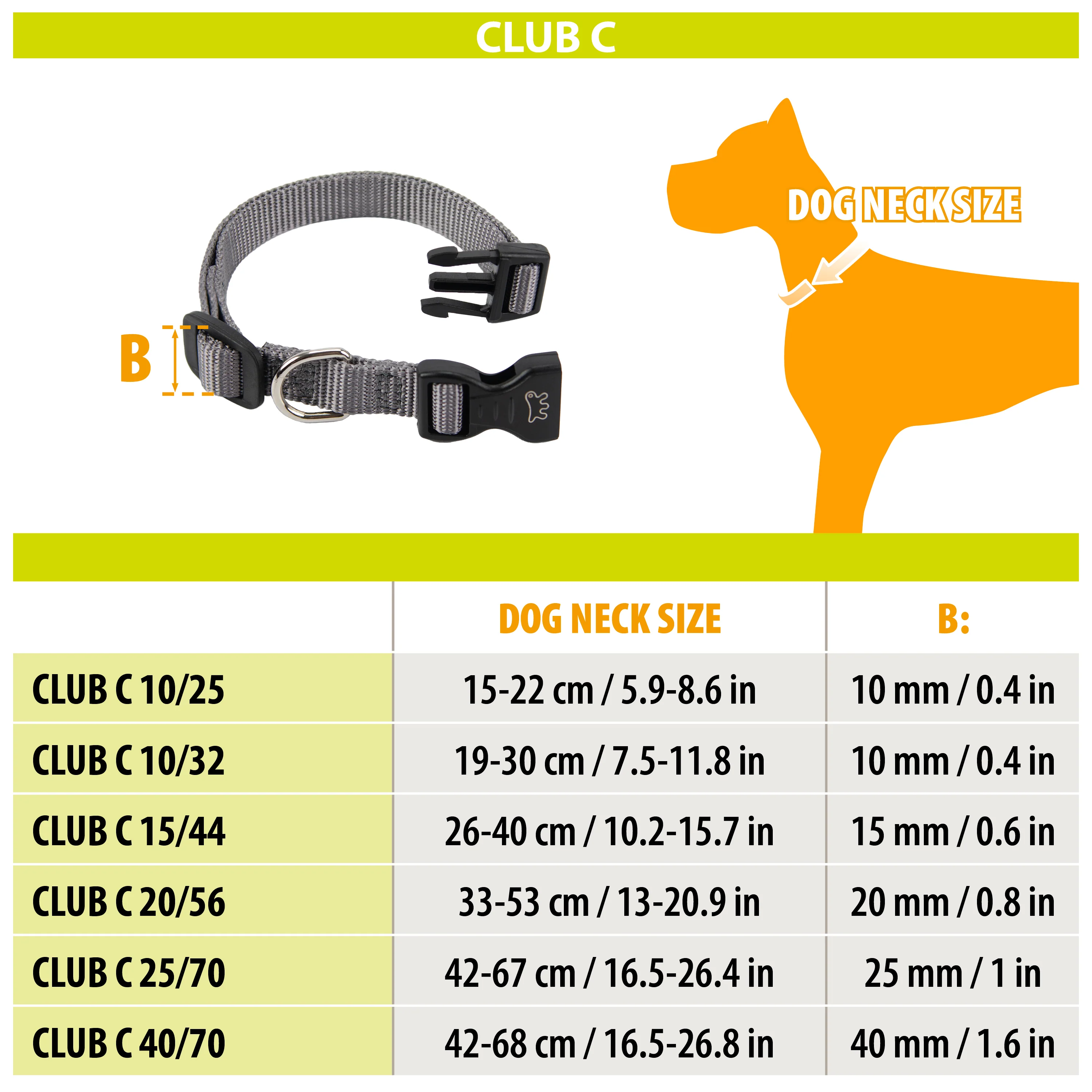 CLUB C - Image 11