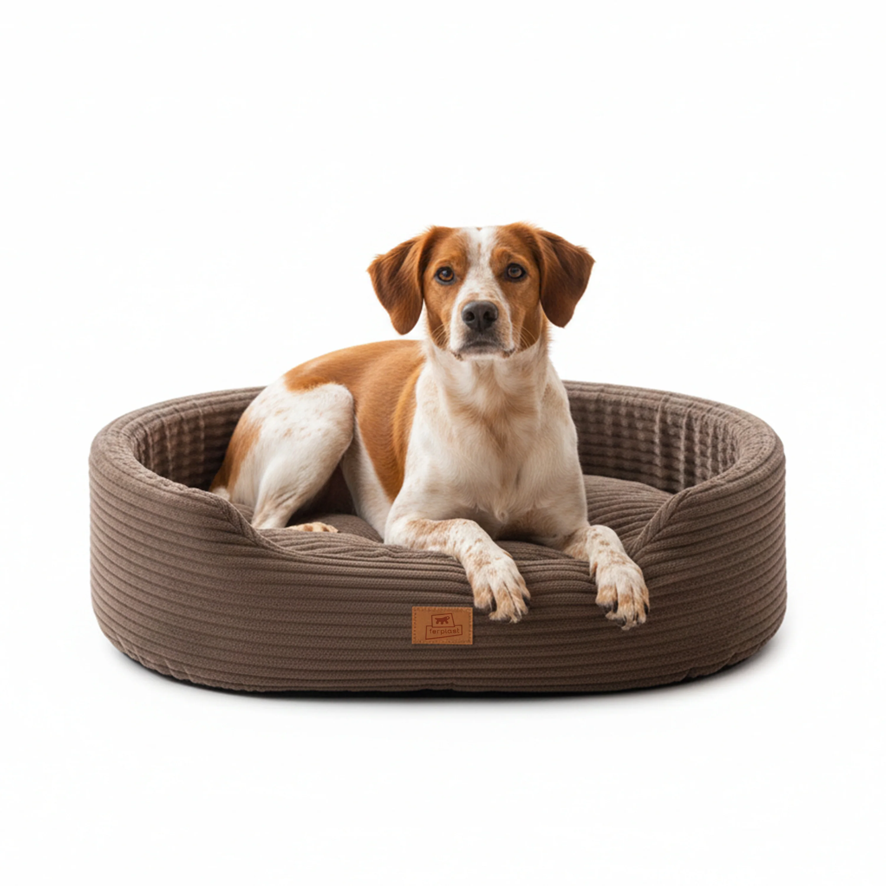 DANDY CORDUROY Sofa-style bed with removable cushion for dogs and cats - Image 23