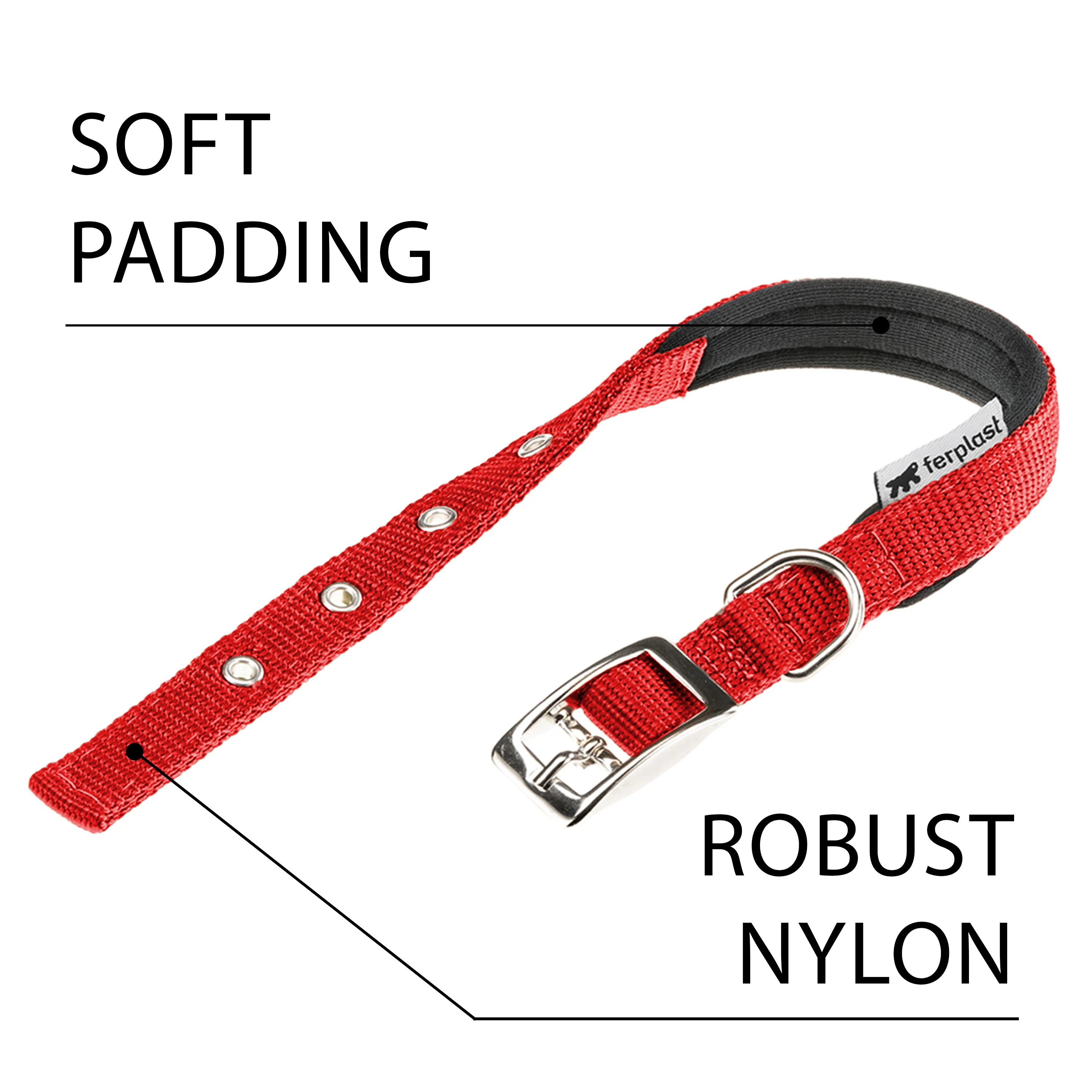 DAYTONA C - Image 20