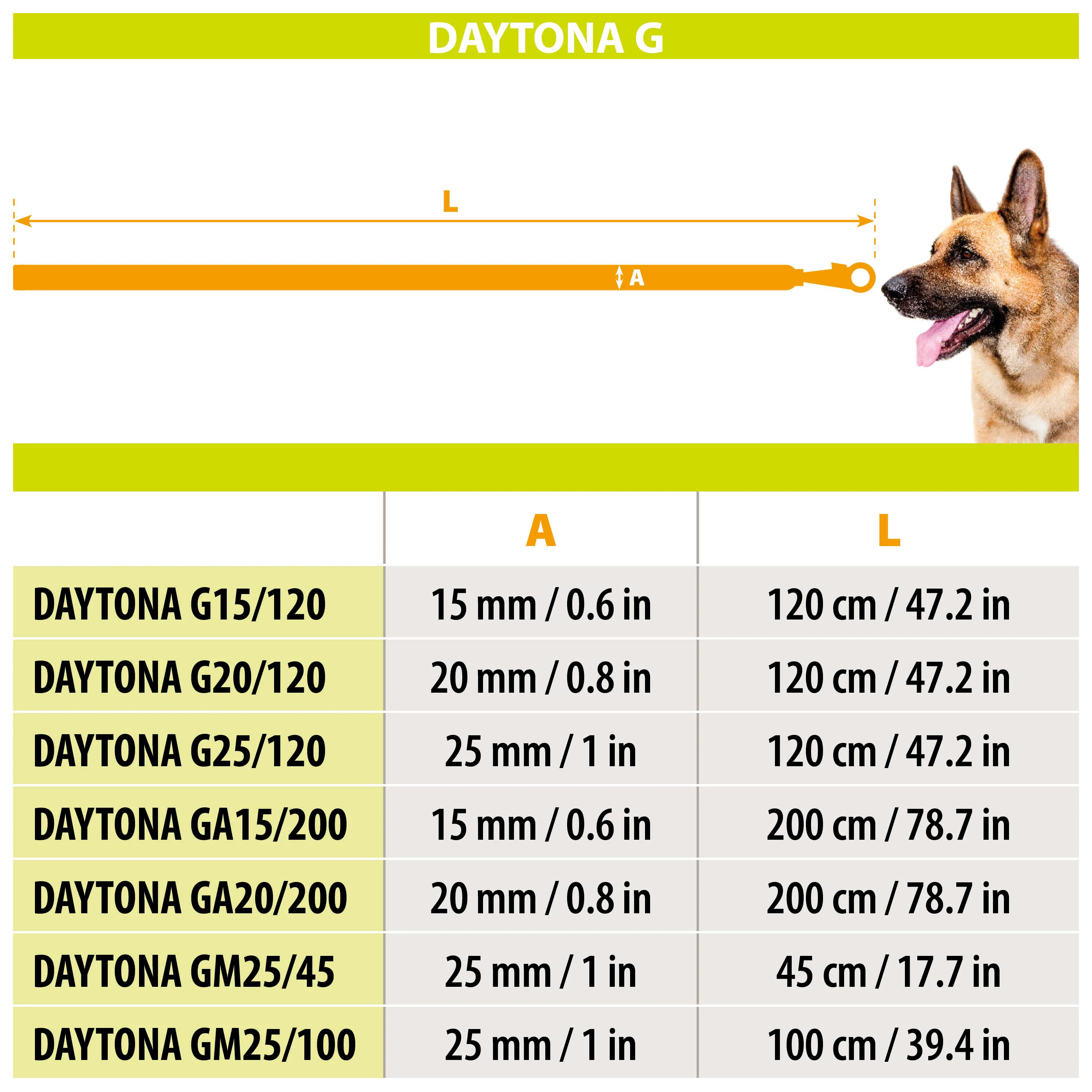 DAYTONA GM 25/100 - Image 2