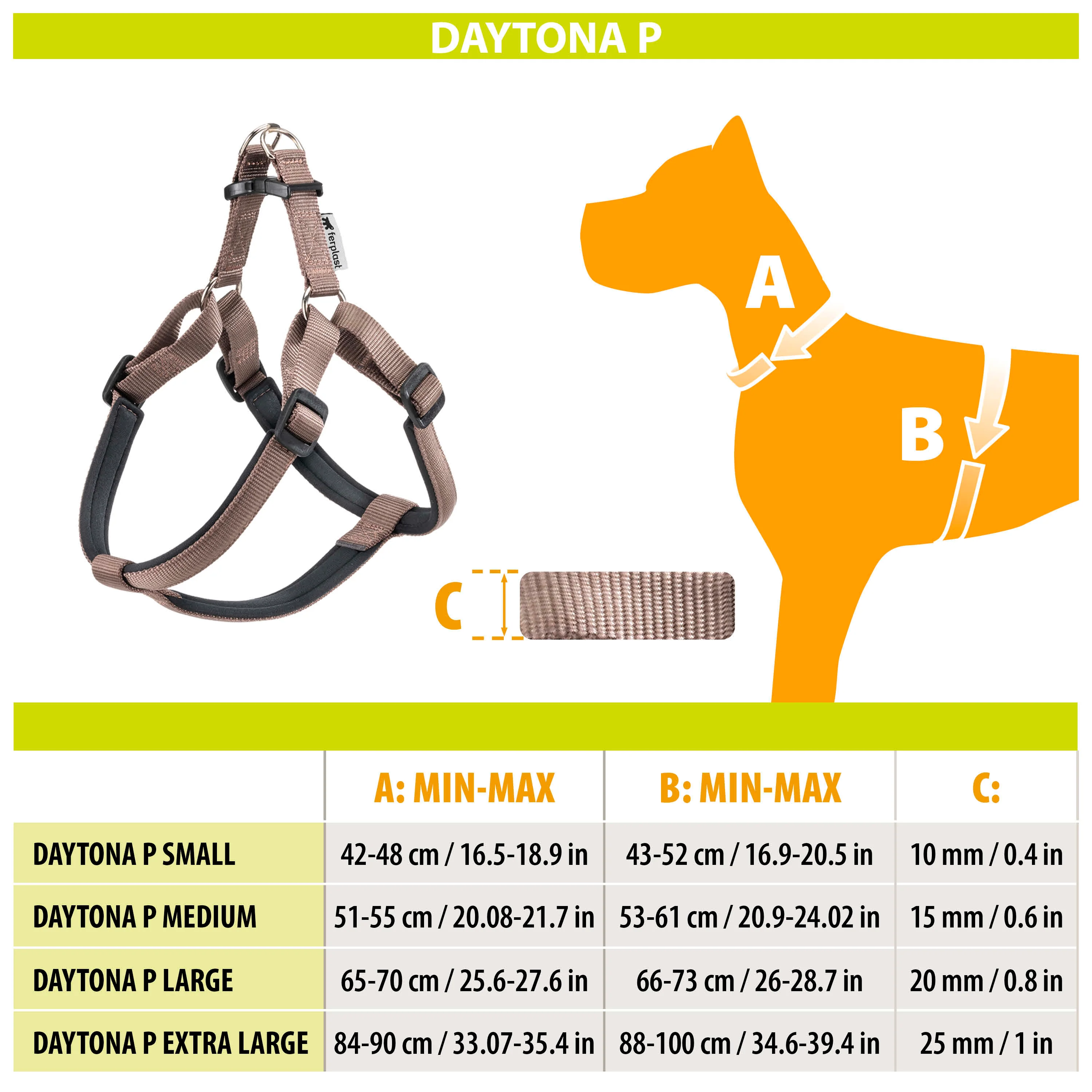 DAYTONA P - Image 33