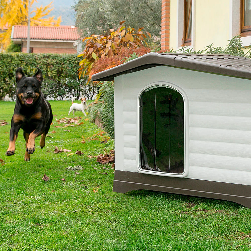 DOGVILLA - Image 23