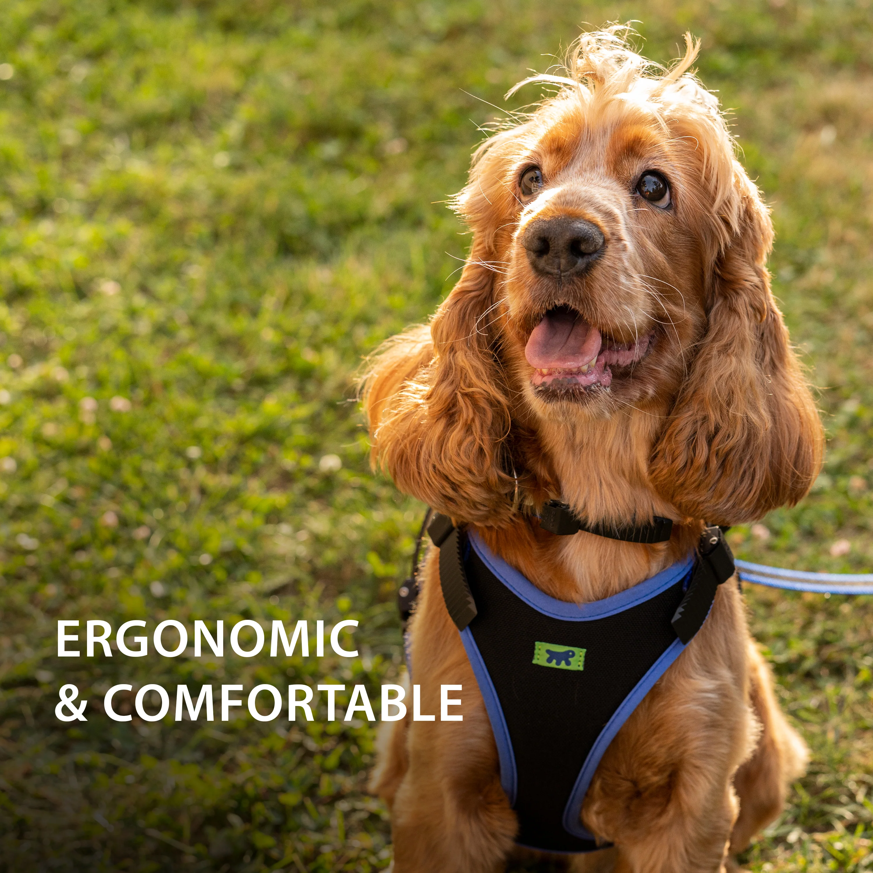 ERGOCOMFORT P - Image 45
