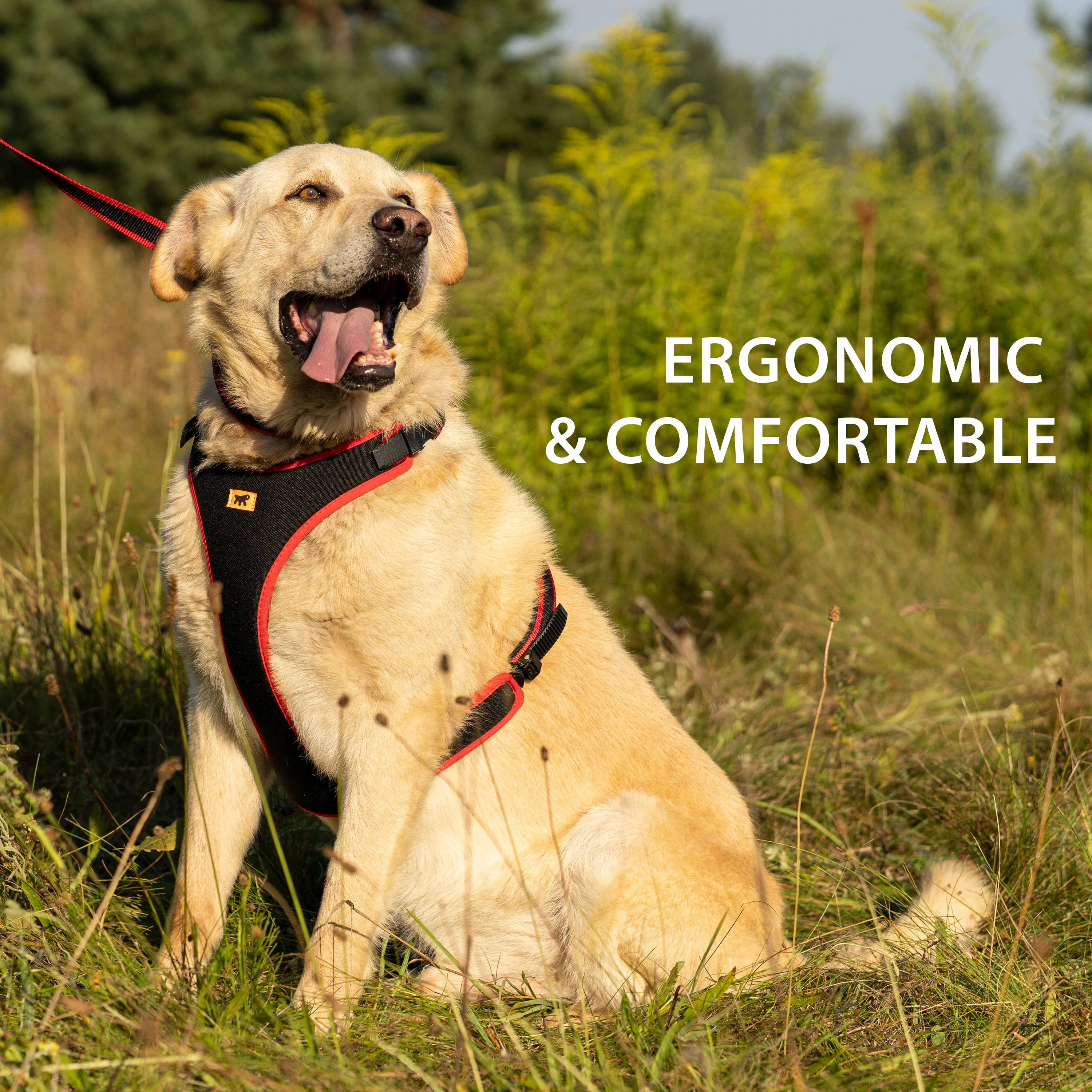 ERGOCOMFORT P - Image 53