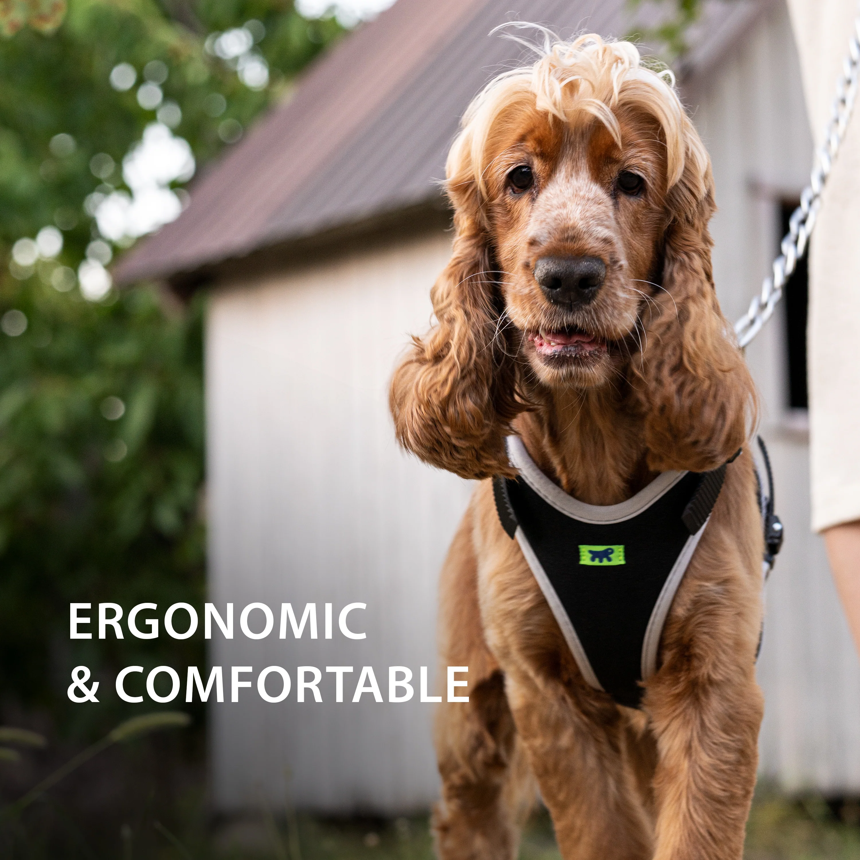 ERGOCOMFORT P - Image 62