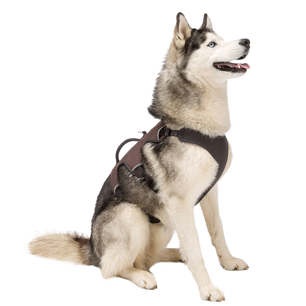 ERGOTREKKING - Image 30