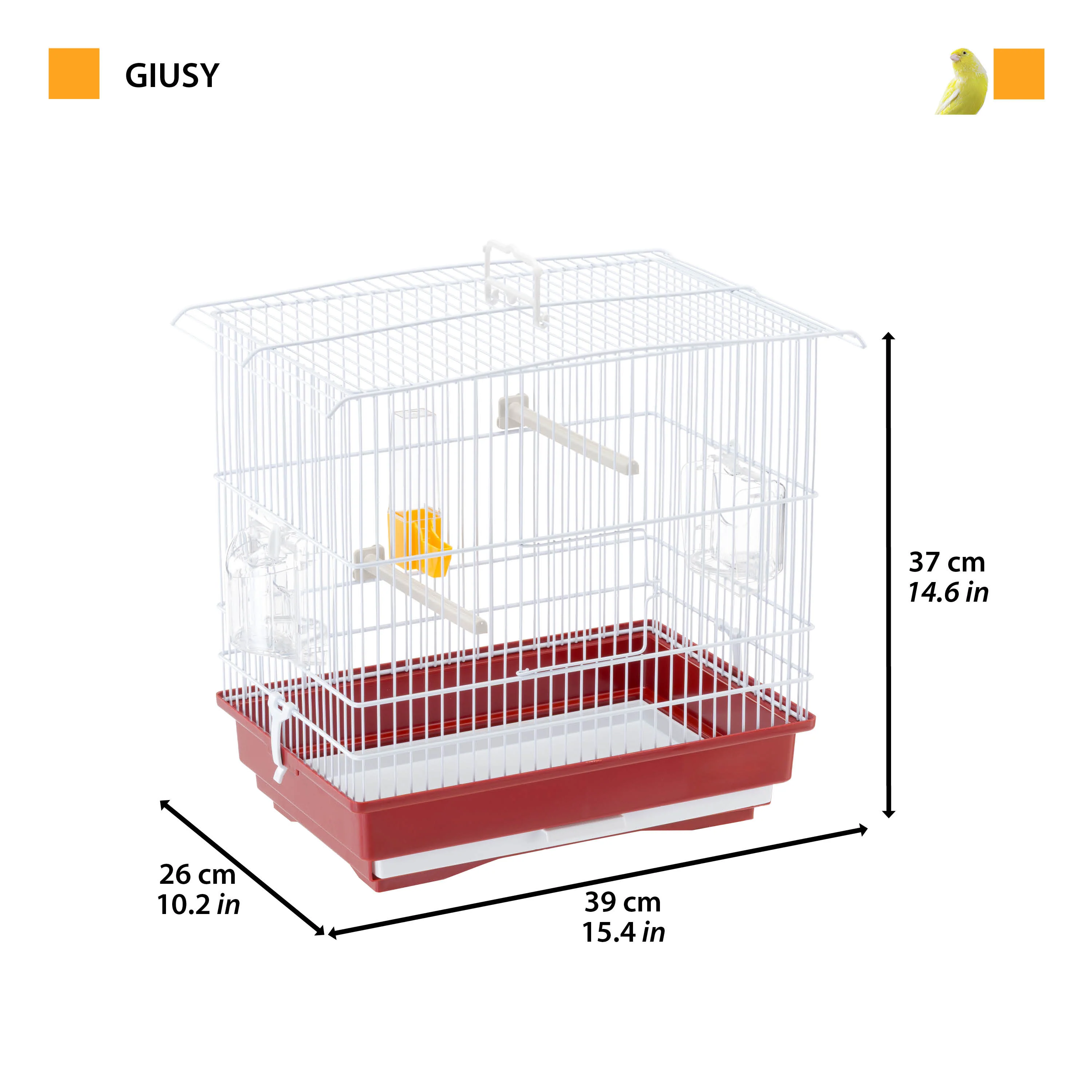 GIUSY - Image 2