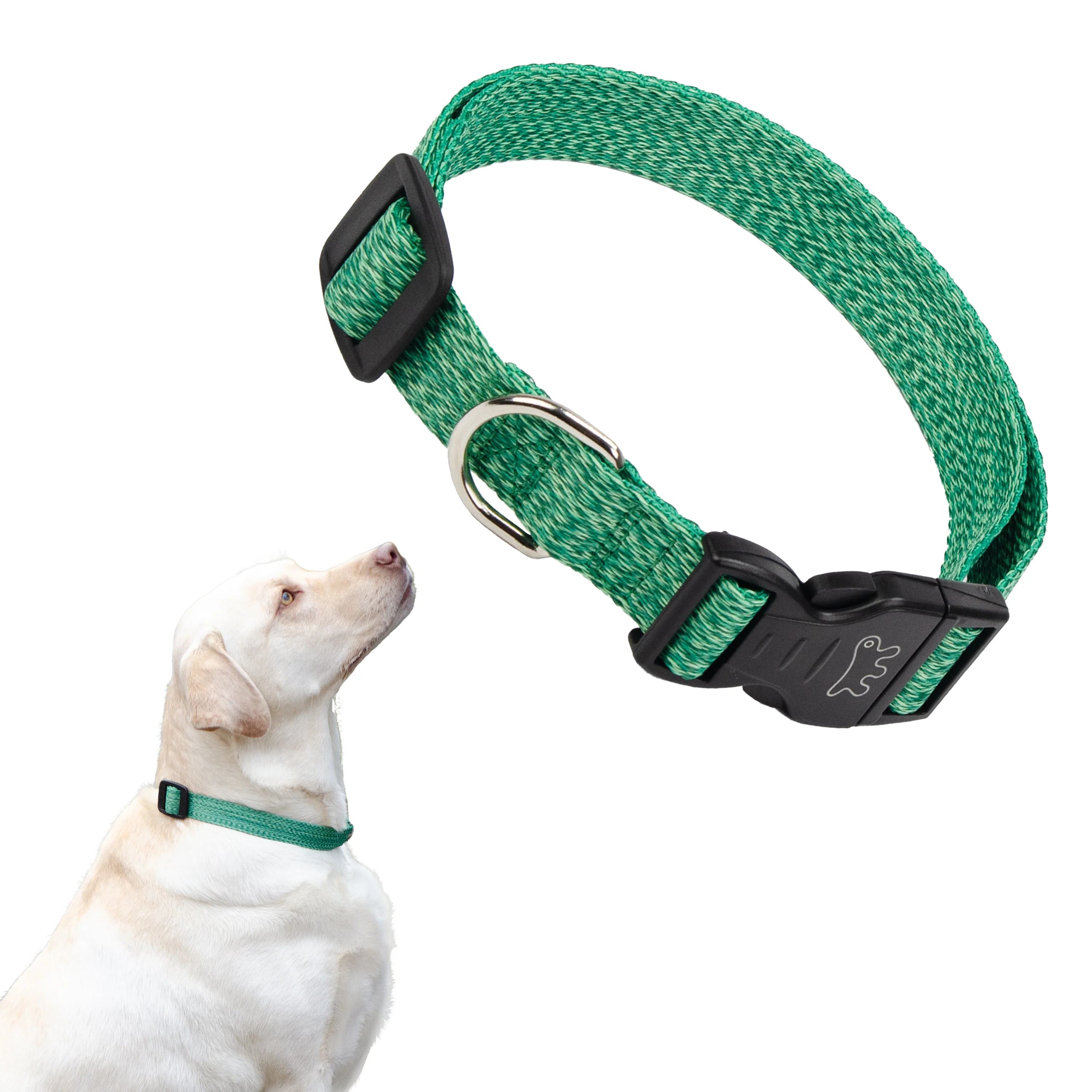 GREENER C - Image 27