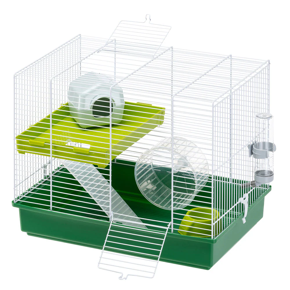 HAMSTER DUO - Image 2
