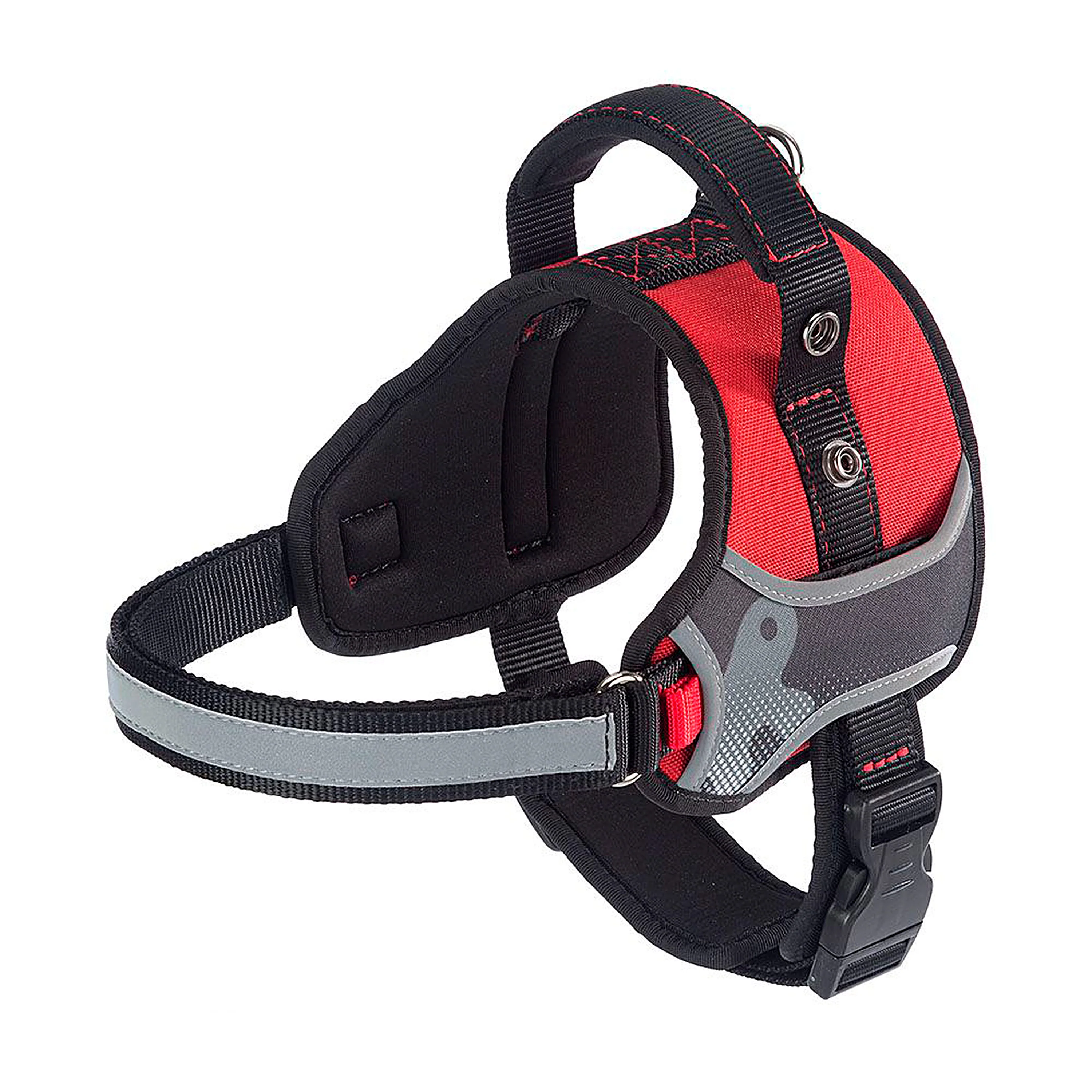 HERCULES P XS - Image 19