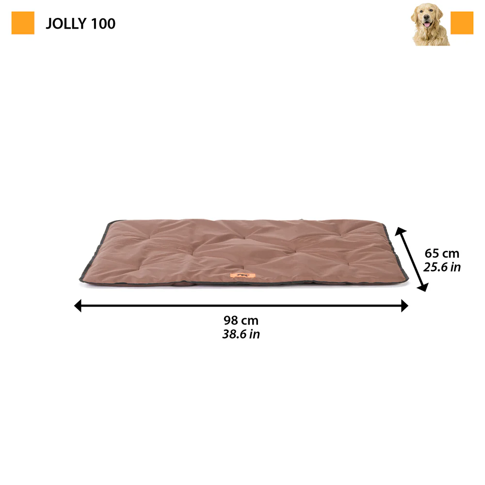 JOLLY - Image 41