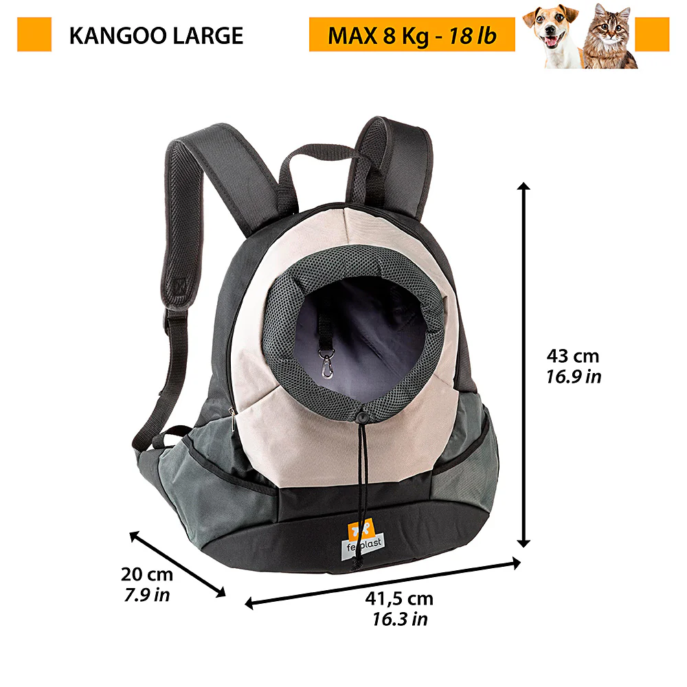 KANGOO - Image 15