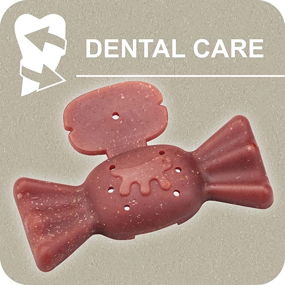 100% SNACK FILLABLE - CANDY YUCCA - Image 2