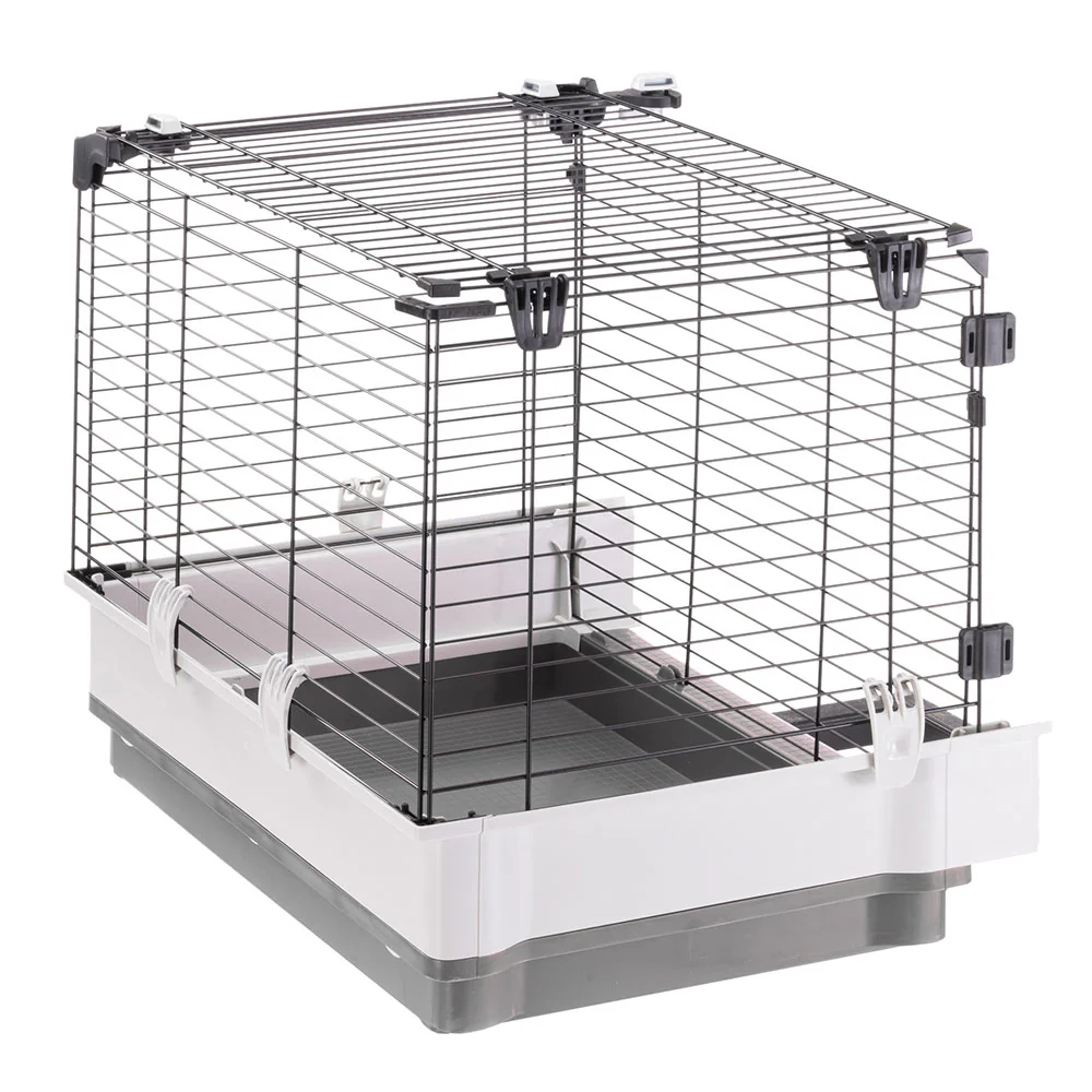 KROLIK EXTENSION - Image 4