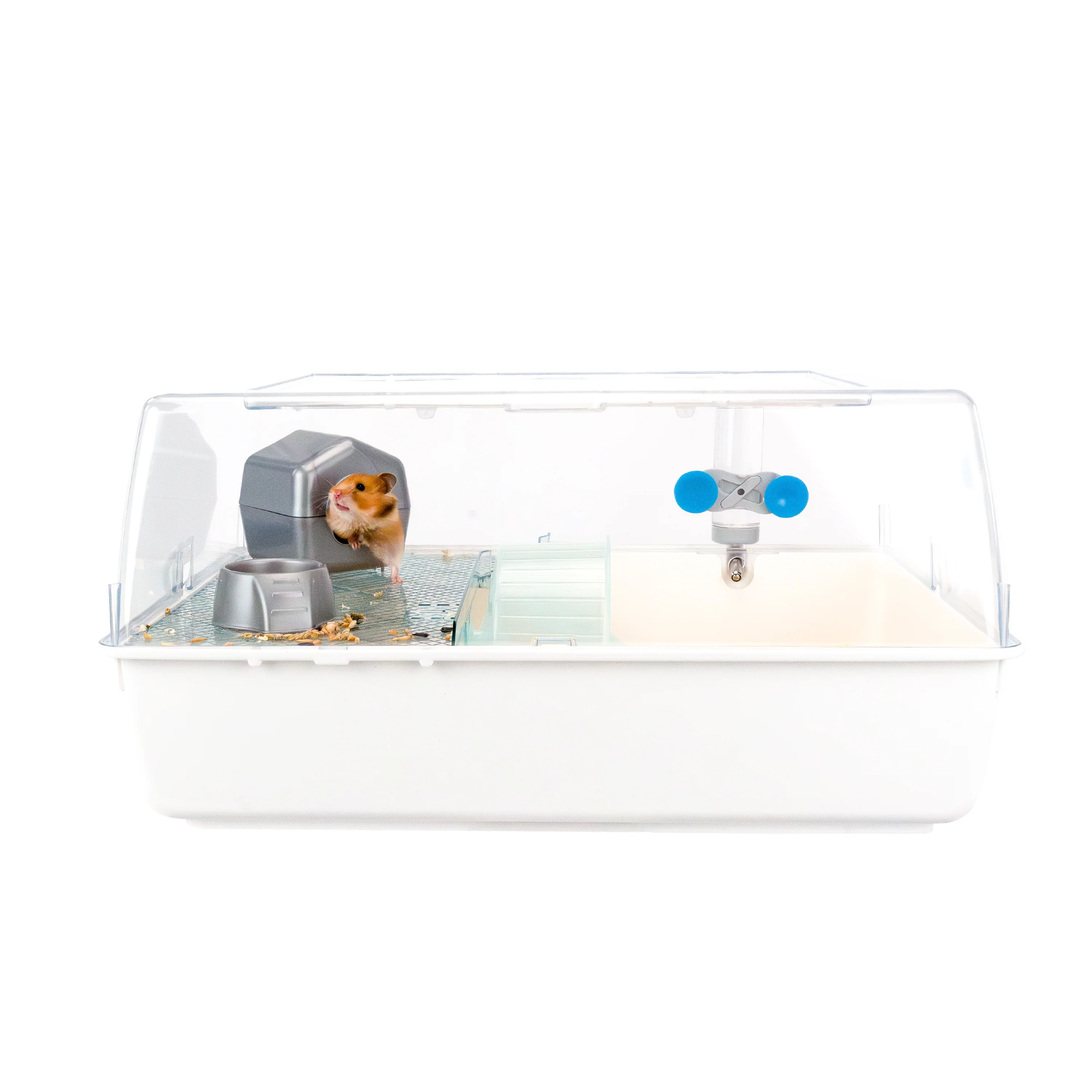 MINI DUNA HAMSTER - Image 12