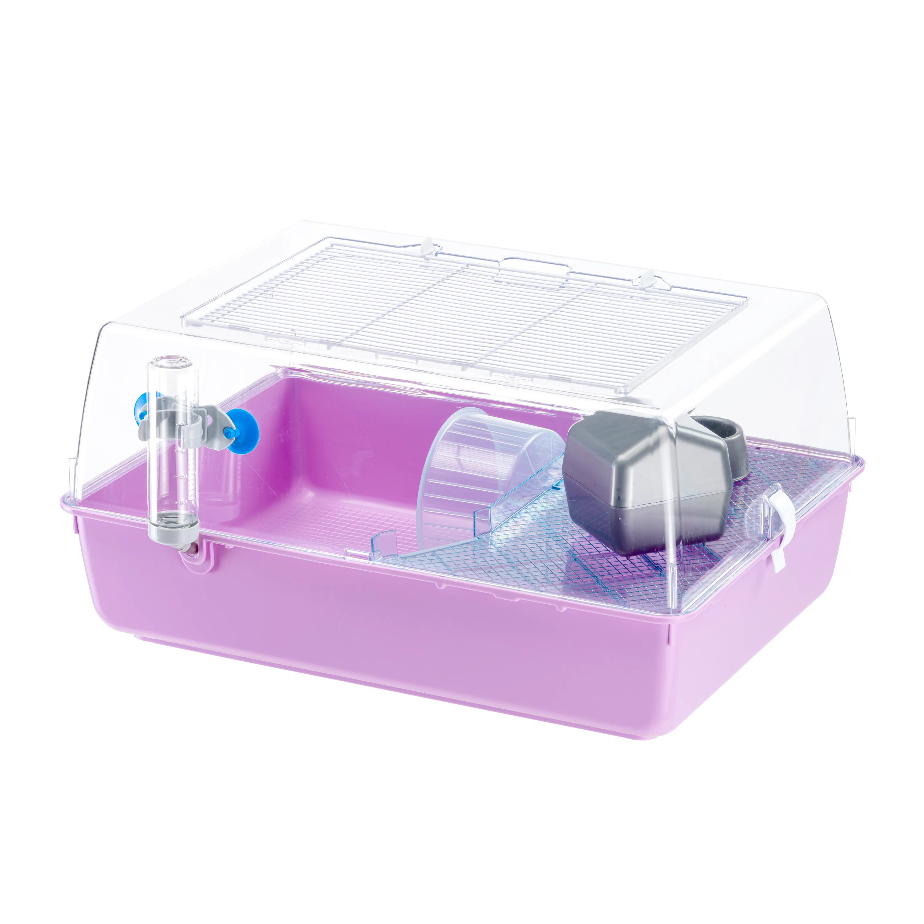 MINI DUNA HAMSTER - Image 6