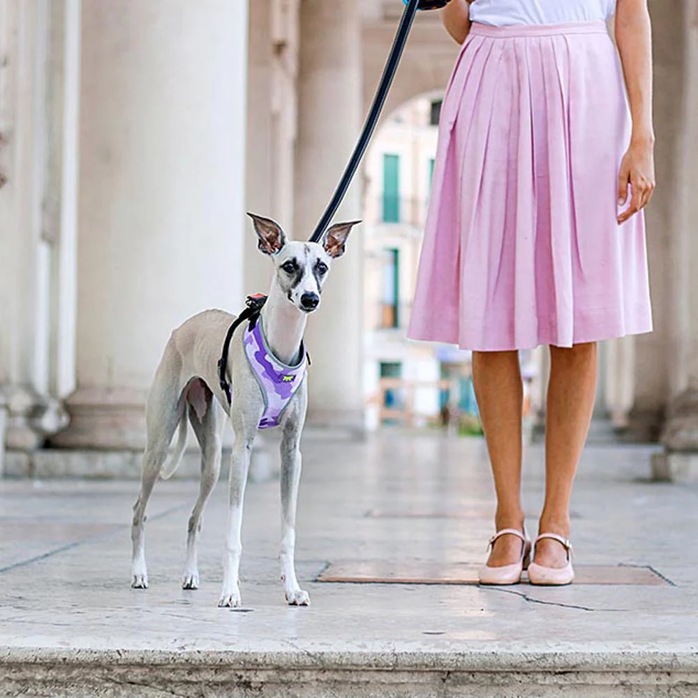 NIKITA P FASHION - Image 17