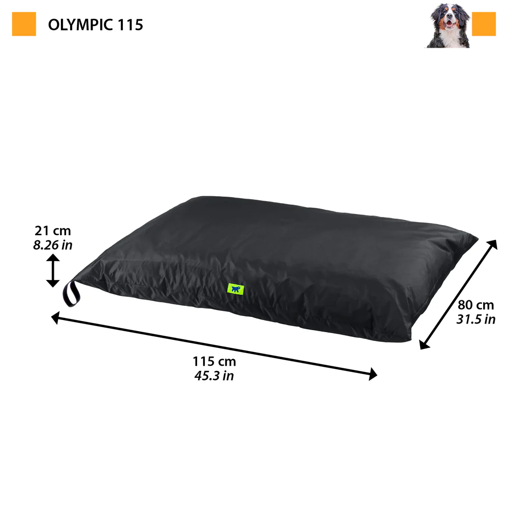 OLYMPIC - Image 2