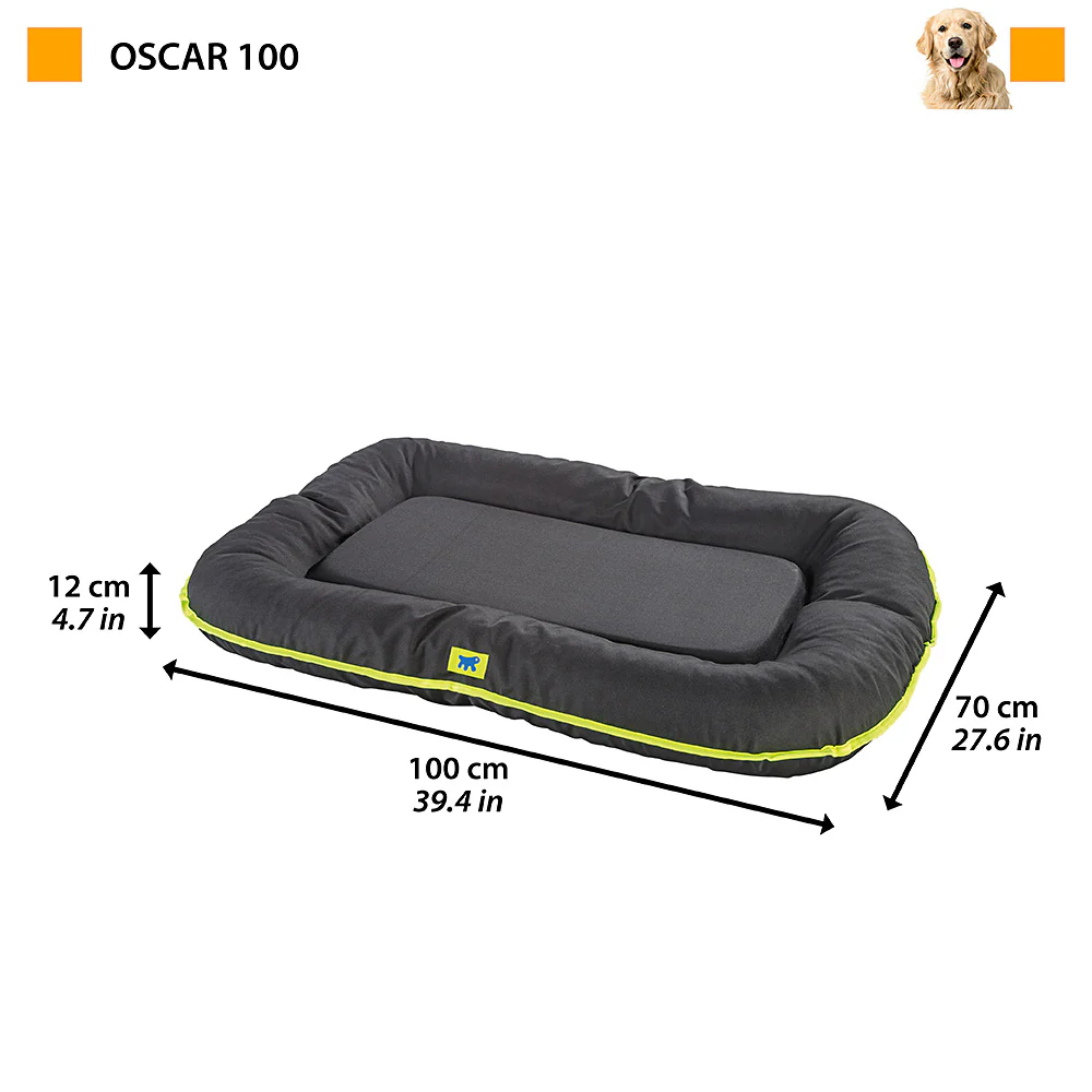 OSCAR - Image 18
