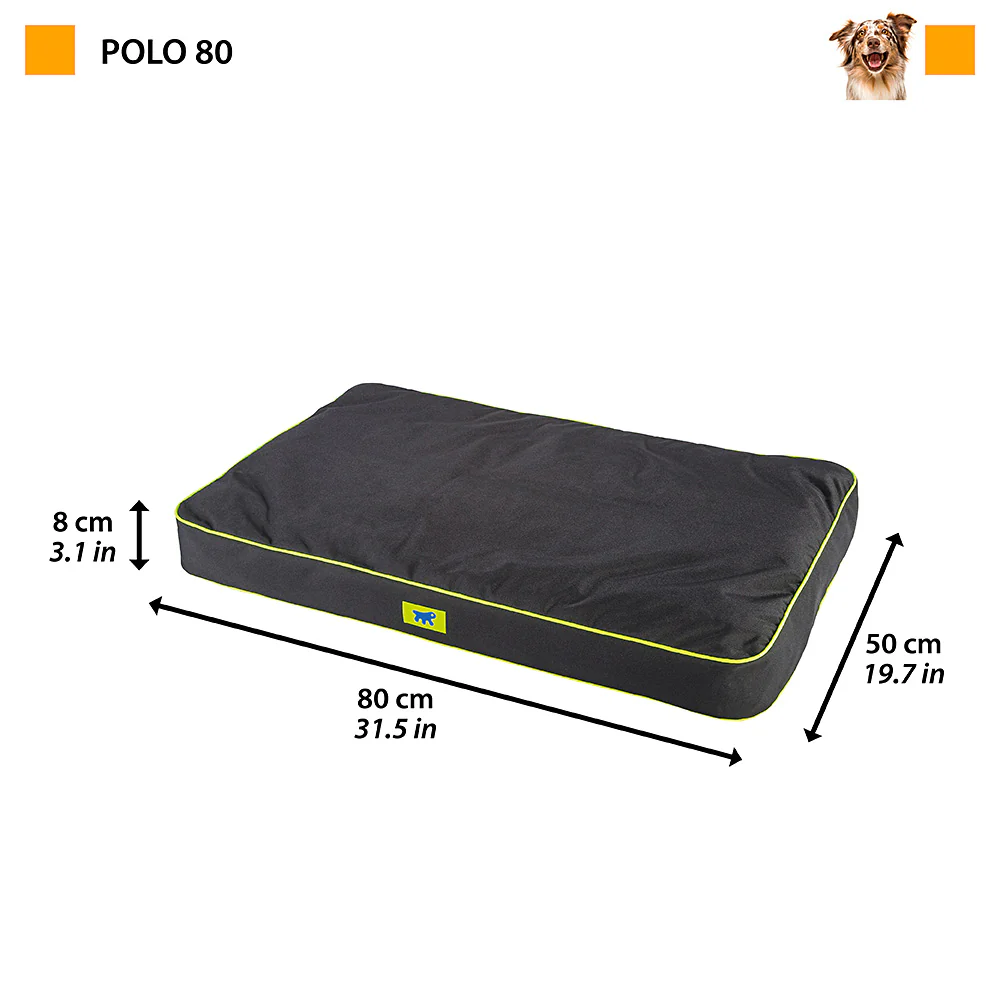 POLO - Image 25