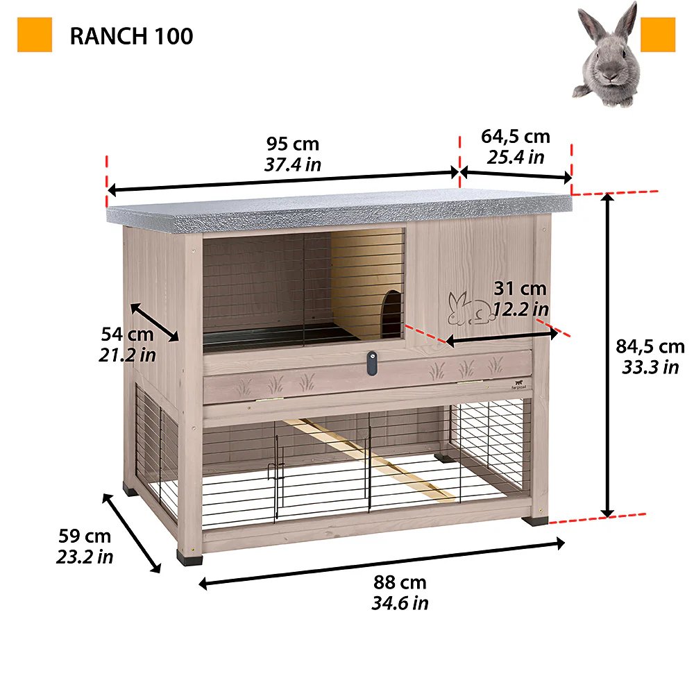 RANCH - Image 2