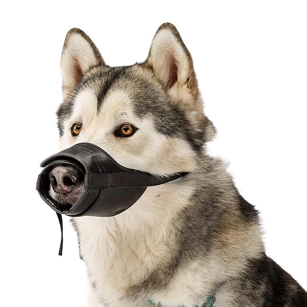 SAFE - Image 13