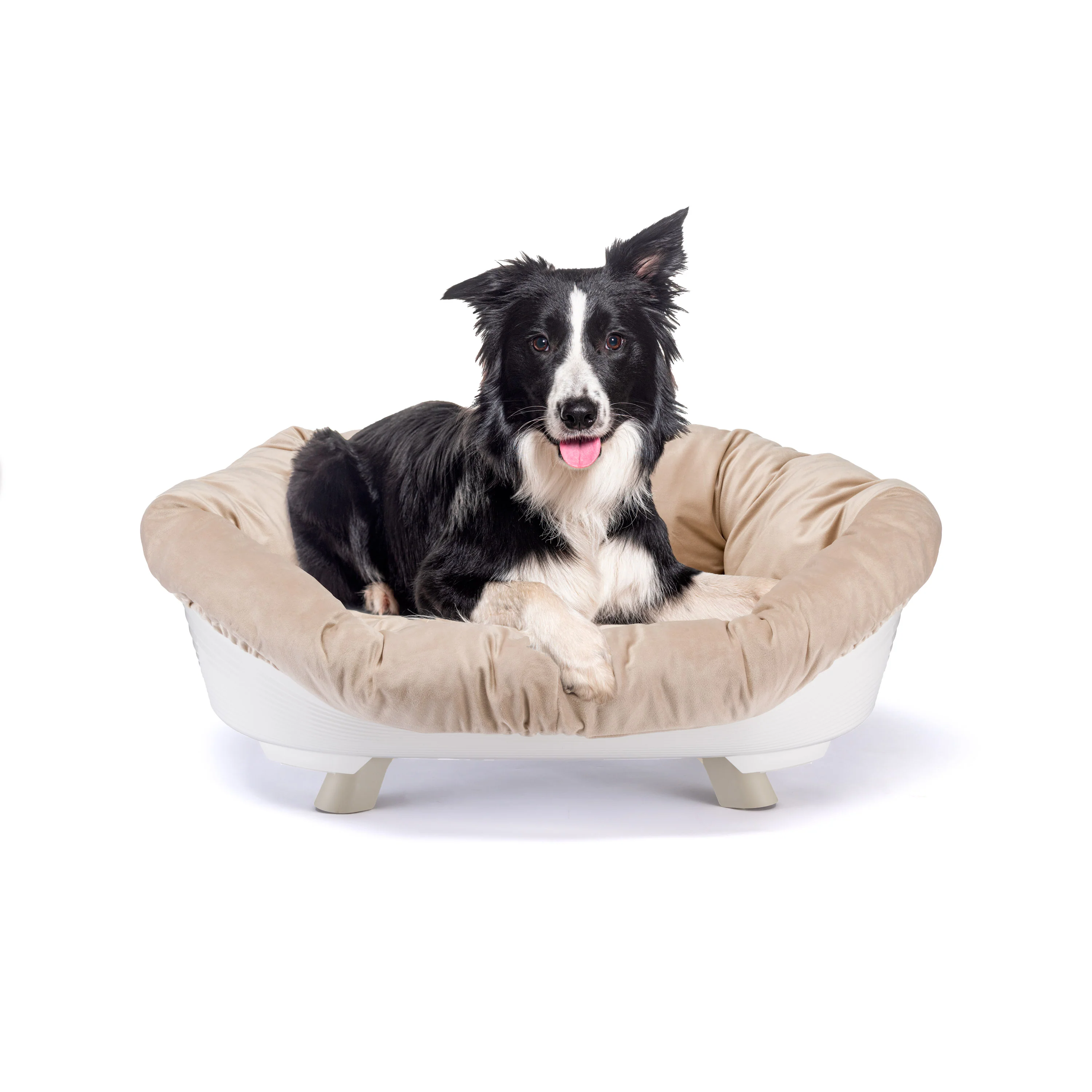 SOFA' THRONE - Image 35