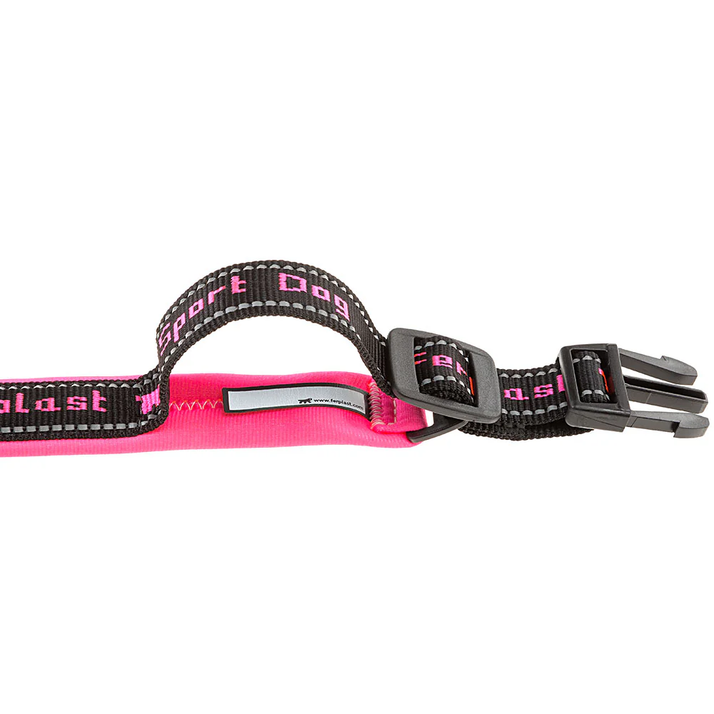 SPORT DOG C - Image 28