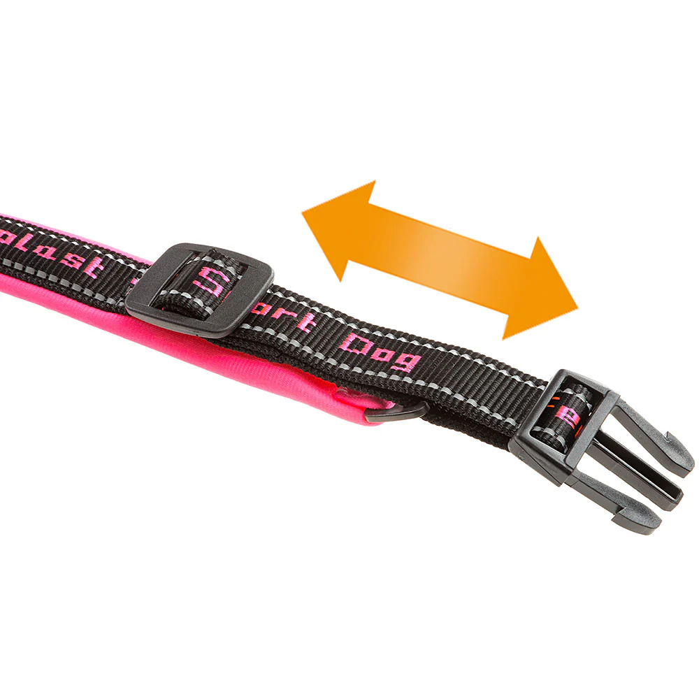 SPORT DOG C - Image 29