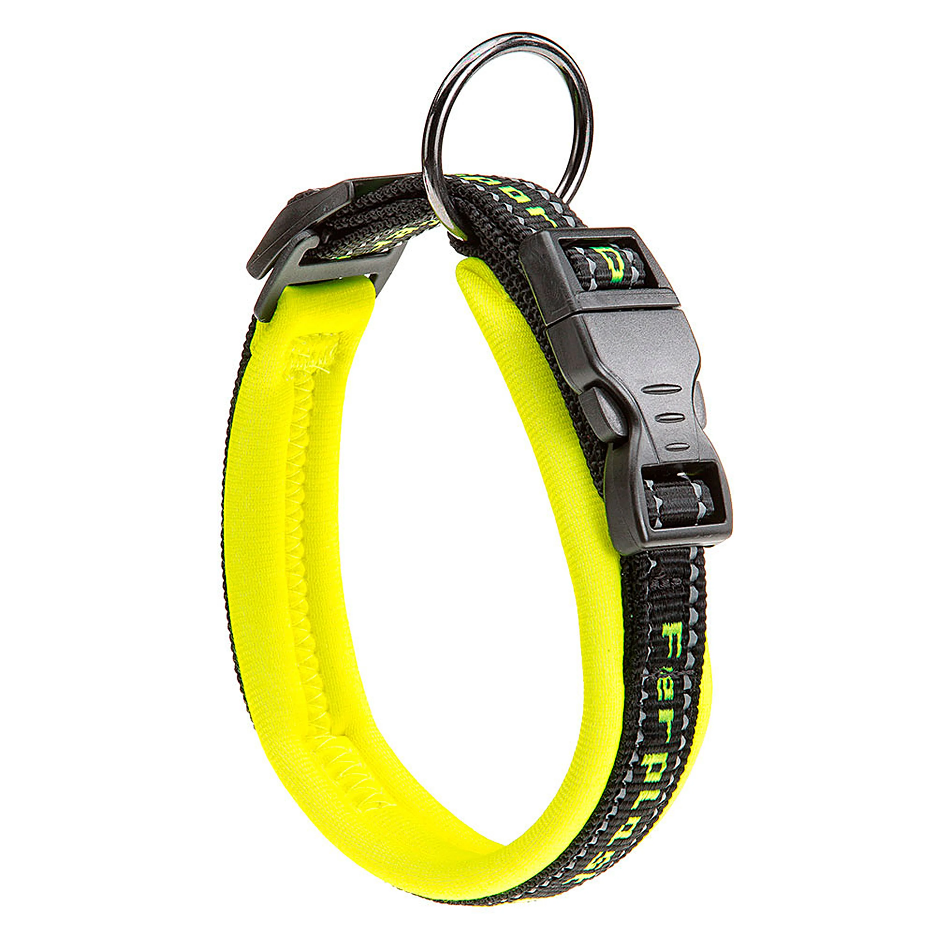 SPORT DOG C - Image 38