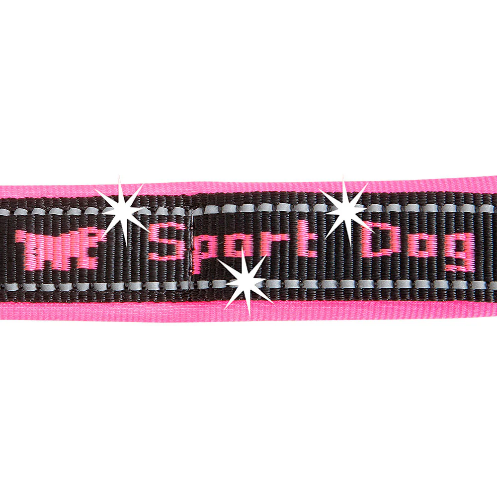 SPORT DOG GA - Image 18
