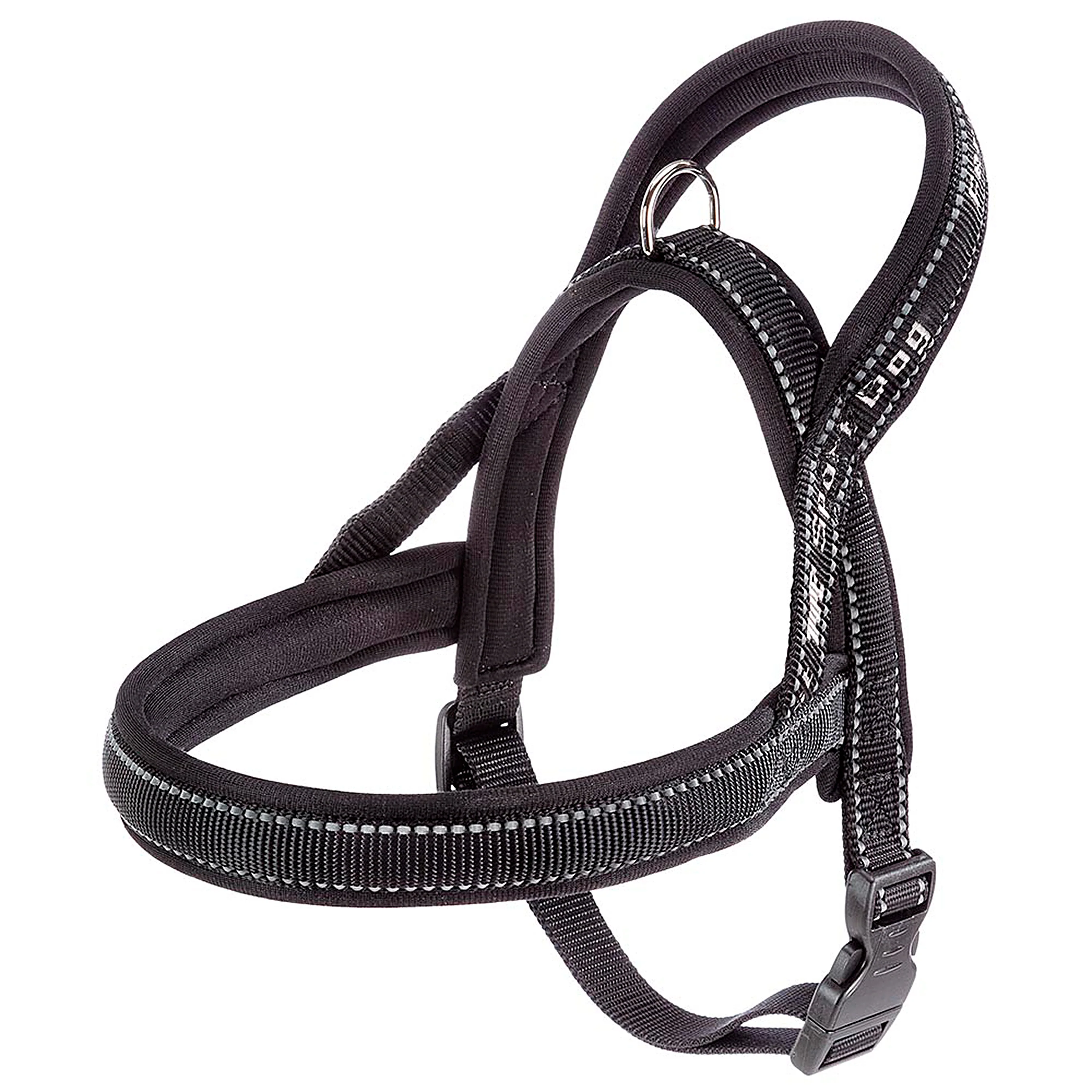 SPORT DOG P - Image 37